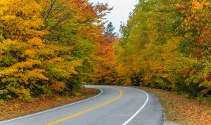 Fall Driving Hazards | Balise Toyota