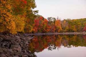 fall-events-springfield-ma