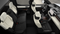 2025 Toyota Tundra i-FORCE MAX Capstone