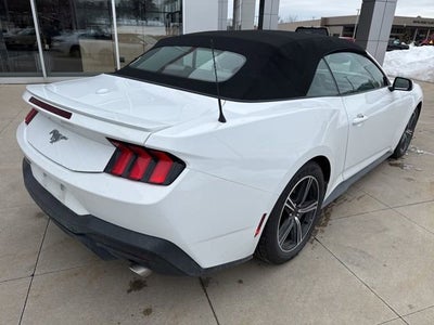 2024 Ford Mustang EcoBoost Premium Convertible
