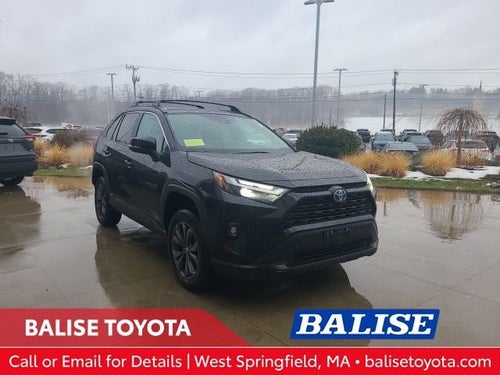 2024 Toyota RAV4 Hybrid Hybrid XLE Premium AWD