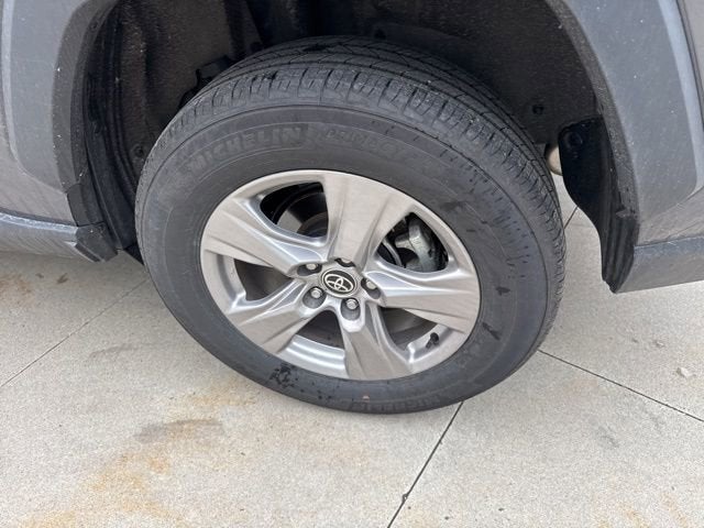 2025 Toyota RAV4 XLE AWD