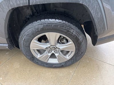 2025 Toyota RAV4 XLE AWD