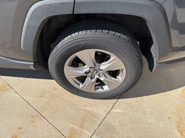 2025 Toyota RAV4 XLE AWD