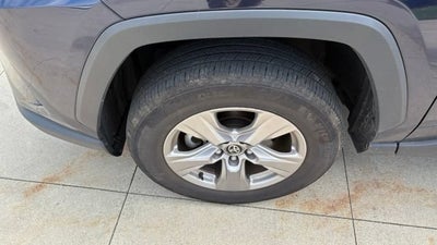 2025 Toyota RAV4 XLE AWD