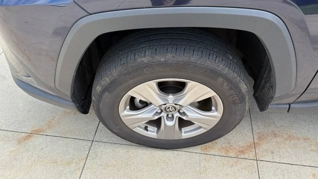 2025 Toyota RAV4 XLE AWD