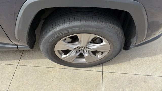 2025 Toyota RAV4 XLE AWD