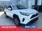 2025 Toyota RAV4 XLE AWD