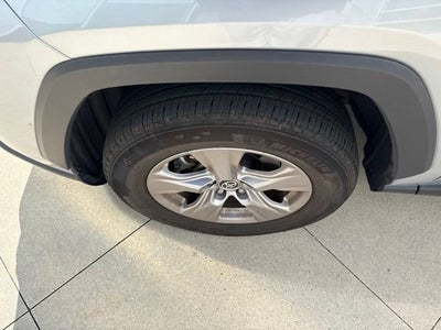 2025 Toyota RAV4 XLE AWD