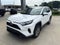 2025 Toyota RAV4 XLE AWD