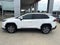 2025 Toyota RAV4 XLE AWD