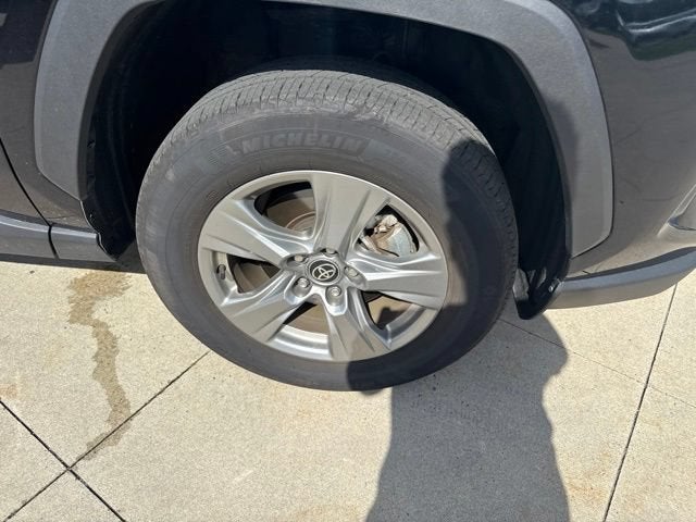 2025 Toyota RAV4 XLE AWD