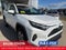 2025 Toyota RAV4 XLE AWD