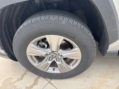 2025 Toyota RAV4 XLE AWD