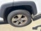 2024 Toyota RAV4 XLE AWD