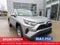 2025 Toyota RAV4 XLE AWD