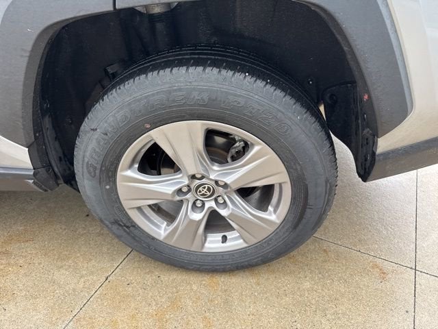 2025 Toyota RAV4 XLE AWD