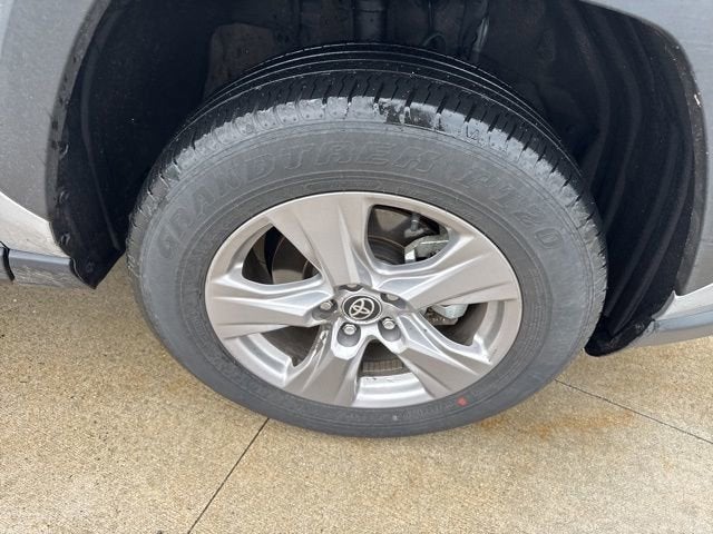 2025 Toyota RAV4 XLE AWD