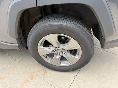 2025 Toyota RAV4 XLE AWD