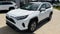 2025 Toyota RAV4 XLE AWD