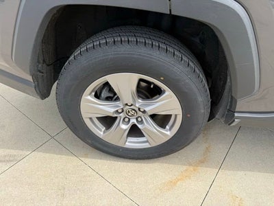 2025 Toyota RAV4 XLE AWD