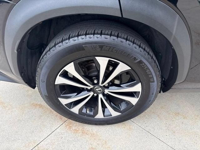 2021 Lexus NX NX 300 F SPORT AWD